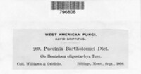 Image Associated With the Occurence